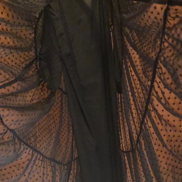 Zara Swiss Dot Long Sleeve Tiered Smocked Maxi Dress - Picture 10 of 11